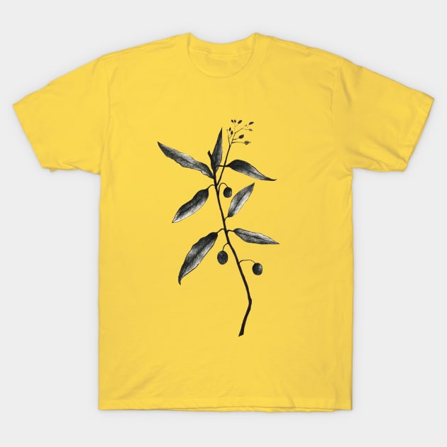 Twig T-Shirt by claudiala